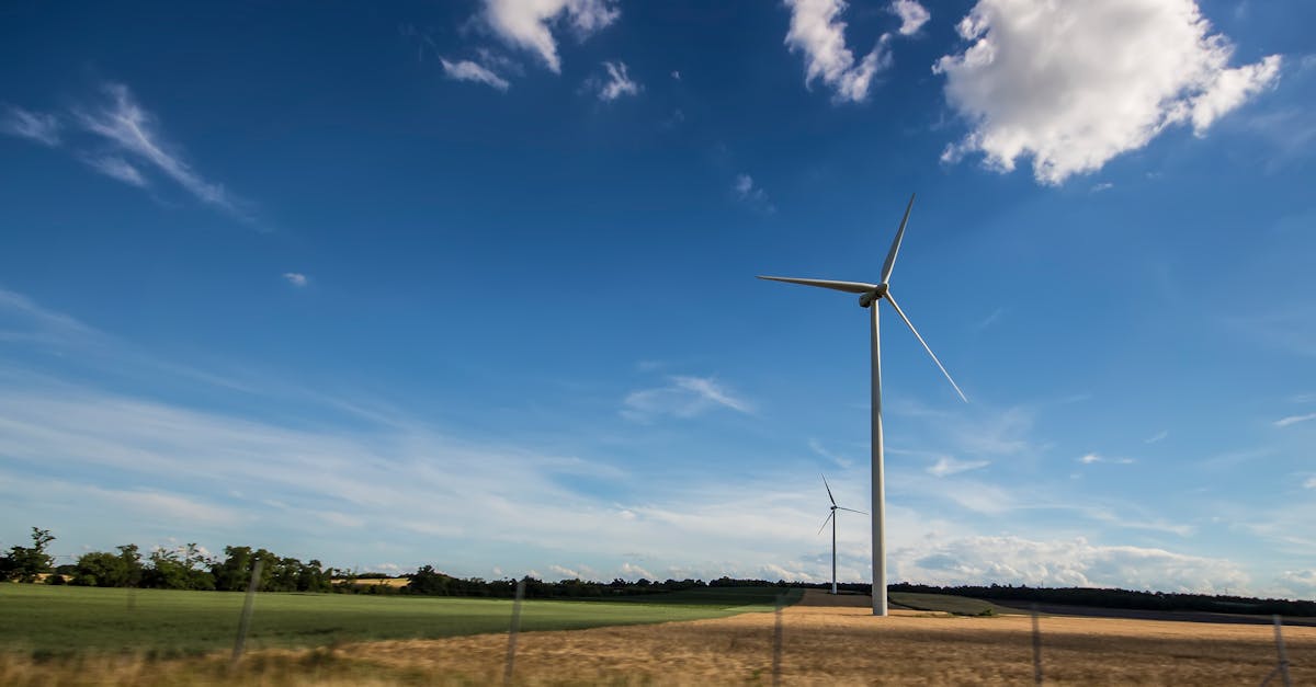 découvrez les principes du développement durable, une approche qui vise à concilier croissance économique, inclusion sociale et protection de l'environnement. apprenez comment intégrer cette démarche dans votre quotidien pour un avenir plus responsable.