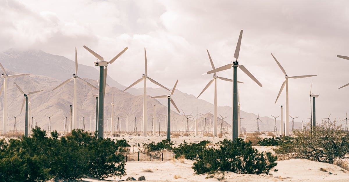 découvrez les enjeux et les stratégies du développement durable, une approche essentielle pour préserver notre planète tout en garantissant un avenir viable pour les générations futures. apprenez comment intégrer des pratiques durables dans votre quotidien et contribuer à un monde meilleur.