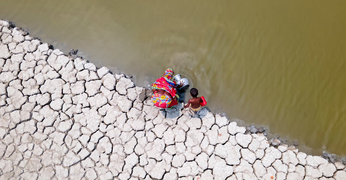 découvrez les stratégies d'adaptation au changement climatique pour assurer un avenir durable. apprenez comment les communautés, les entreprises et les gouvernements s'adaptent aux impacts du climat et contribuent à la résilience de notre planète.