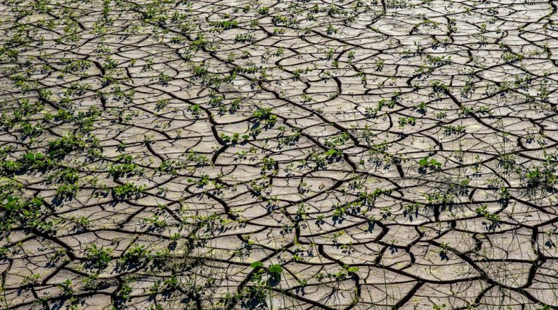 découvrez les enjeux de la crise climatique et son impact sur notre planète. informez-vous sur les causes, les conséquences et les solutions pour lutter contre ce défi mondial urgent.