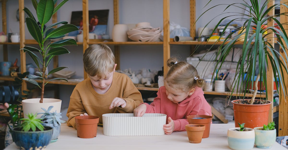 découvrez l'éducation environnementale, une approche essentielle pour sensibiliser les individus aux enjeux écologiques et promouvoir des comportements durables. apprenez à protéger notre planète, à comprendre les écosystèmes et à adopter des pratiques respectueuses de l'environnement grâce à des programmes innovants et engageants.