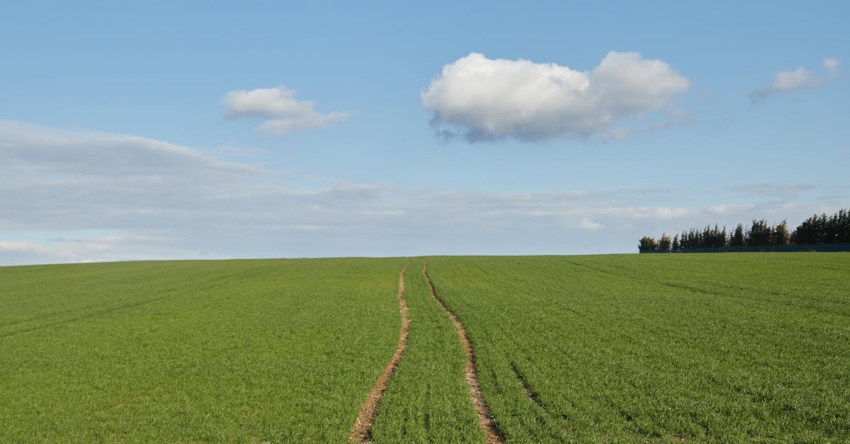 découvrez le scepticisme climatique, un phénomène qui remet en question la science du changement climatique et ses conséquences. analysez les arguments des sceptiques, leurs motivations et l'impact de leurs croyances sur les politiques environnementales et la société.