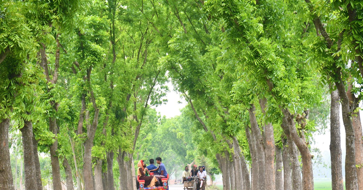 découvrez les corridors écologiques, des passages essentiels permettant aux espèces de se déplacer entre les habitats, favorisant ainsi la biodiversité et la résilience des écosystèmes. apprenez comment ces aménagements contribuent à la protection de la nature et à la lutte contre le changement climatique.