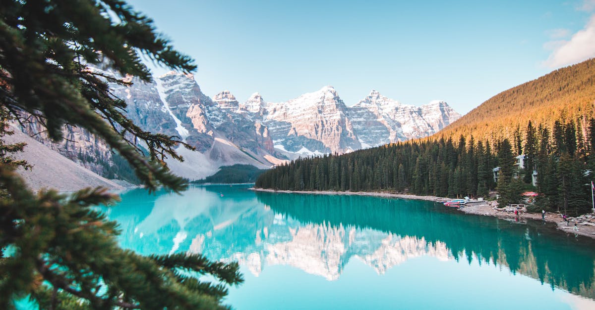 découvrez la beauté envoûtante des forêts de montagne, où la nature sauvage rencontre des paysages à couper le souffle. explorez une biodiversité unique, des sentiers de randonnée pittoresques et une atmosphère paisible qui vous invite à l'évasion.