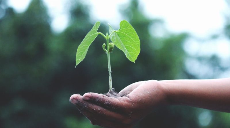 découvrez comment agir pour le climat avec des initiatives concrètes et durables. rejoignez le mouvement pour préserver notre planète et lutter contre le changement climatique grâce à des actions simples mais impactantes.