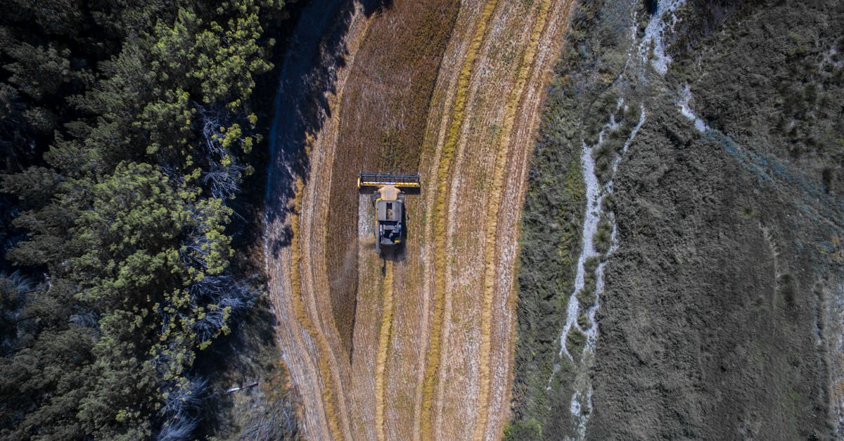 découvrez le monde de l'agritech, l'alliance innovante entre agriculture et technologie. explorez comment les solutions numériques transforment les pratiques agricoles, améliorent la productivité, et favorisent une agriculture durable pour faire face aux défis alimentaires de demain.