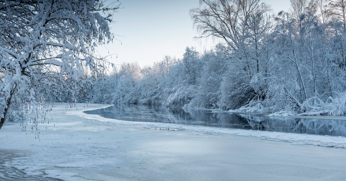 rejoignez la climate academy pour explorer et comprendre les enjeux climatiques actuels. perfectionnez vos connaissances et compétences en matière de durabilité grâce à des formations innovantes et engageantes. agissons ensemble pour un avenir plus vert.