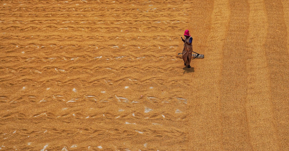 découvrez les stratégies et solutions innovantes pour s'adapter aux changements climatiques. apprenez comment les communautés et les entreprises peuvent se préparer aux défis environnementaux futurs tout en favorisant un développement durable.