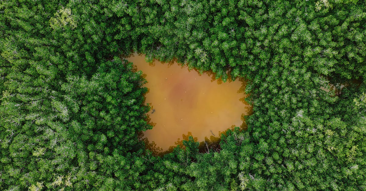 découvrez les engagements climatiques, leurs impacts sur l'environnement et les initiatives prises par les gouvernements et entreprises pour lutter contre le changement climatique.