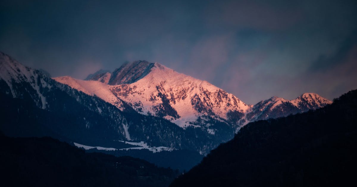 découvrez comment les engagements climatiques façonnent un avenir durable. explorez les initiatives mondiales pour lutter contre le changement climatique et comprendre l'importance d'agir maintenant pour préserver notre planète.