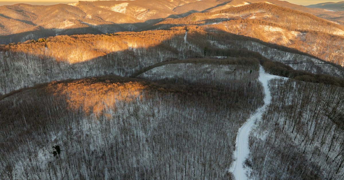 découvrez l'importance des politiques climatiques dans la lutte contre le changement climatique. analyse des mesures et stratégies mises en place pour protéger notre planète et garantir un avenir durable.