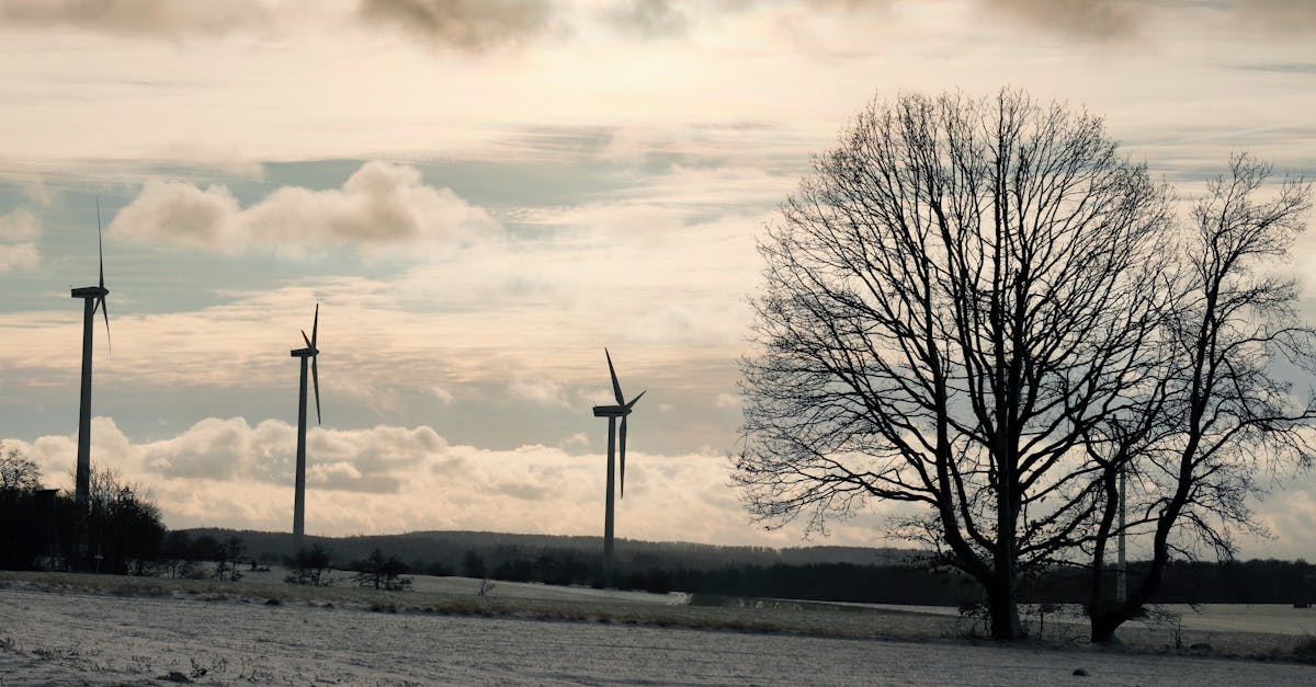 découvrez les enjeux et stratégies des politiques climatiques pour un avenir durable. analysons les actions nécessaires pour lutter contre le changement climatique et promouvoir la protection de notre planète.