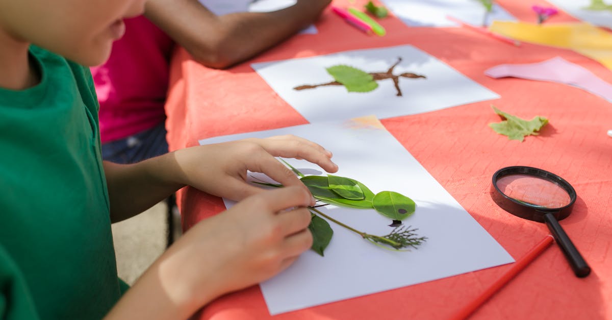 découvrez comment l'éducation environnementale joue un rôle crucial dans la sensibilisation à la protection de notre planète. apprenez des méthodes innovantes pour intégrer la durabilité dans vos projets éducatifs et inspirez les générations futures à agir pour un monde meilleur.