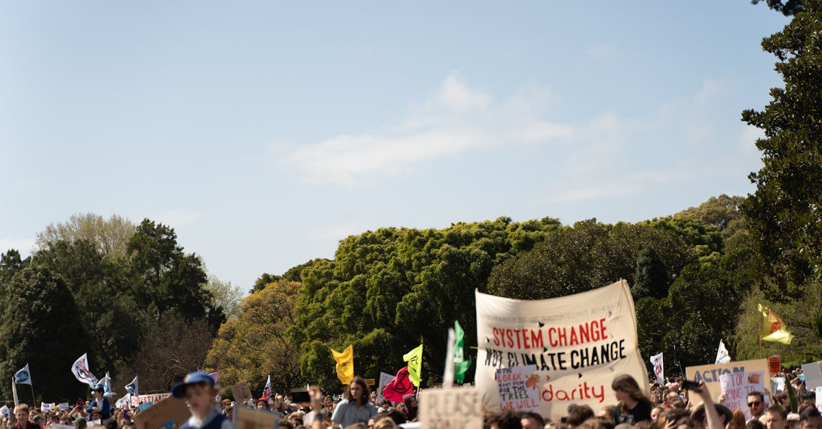 découvrez les enjeux et les dynamiques des politiques environnementales dans un monde en mutation. explorez comment les décisions politiques influencent la durabilité, la conservation des ressources naturelles et la lutte contre le changement climatique.