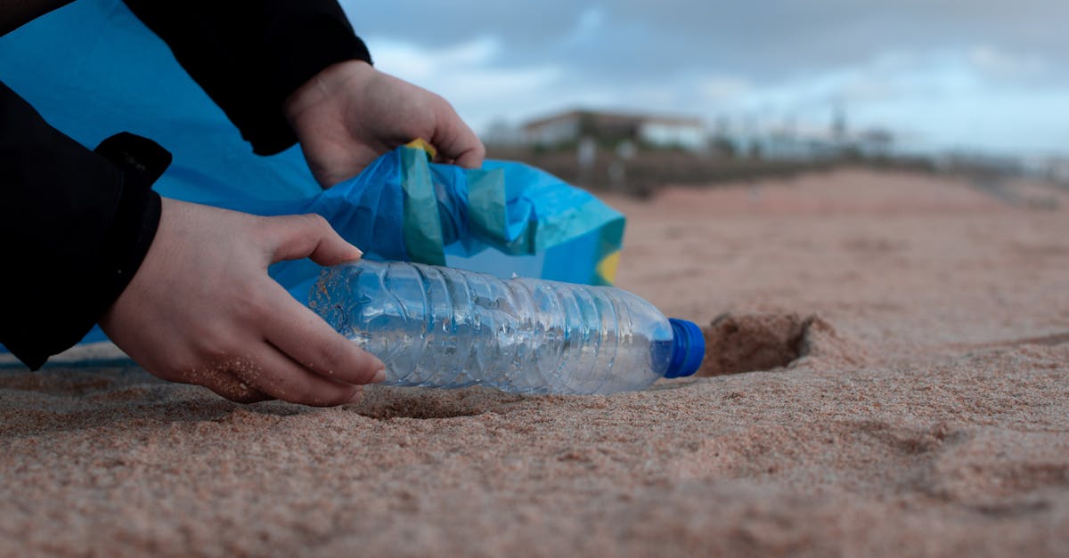 découvrez l'importance de la protection de l'environnement et les actions essentielles pour préserver notre planète. engagez-vous pour un avenir durable en adoptant des pratiques écologiques et en sensibilisant votre entourage.