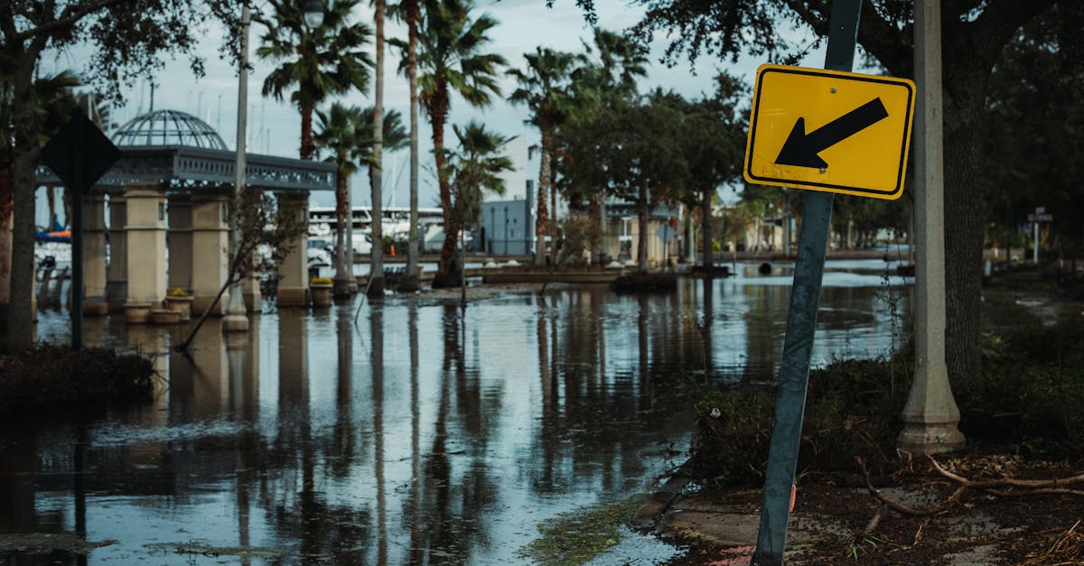 découvrez les causes, les impacts et les solutions face aux inondations. informez-vous sur les mesures de prévention et les actions à entreprendre pour protéger votre environnement et votre sécurité en cas de crue.