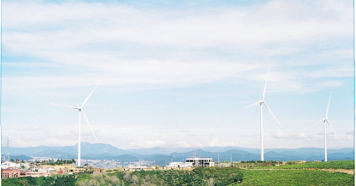 découvrez les principes de l'économie verte, une approche durable visant à concilier croissance économique, protection de l'environnement et bien-être social. explorez les innovations et pratiques qui favorisent un avenir durable et responsable.