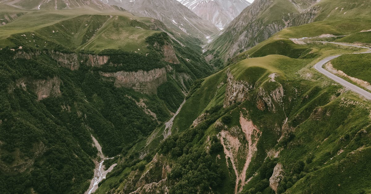 découvrez les forêts montagneuses, des écosystèmes uniques où la biodiversité s'épanouit. explorez la beauté naturelle des paysages alpins, la faune exceptionnelle et les activités de plein air qui vous attendent dans ces environnements majestueux.