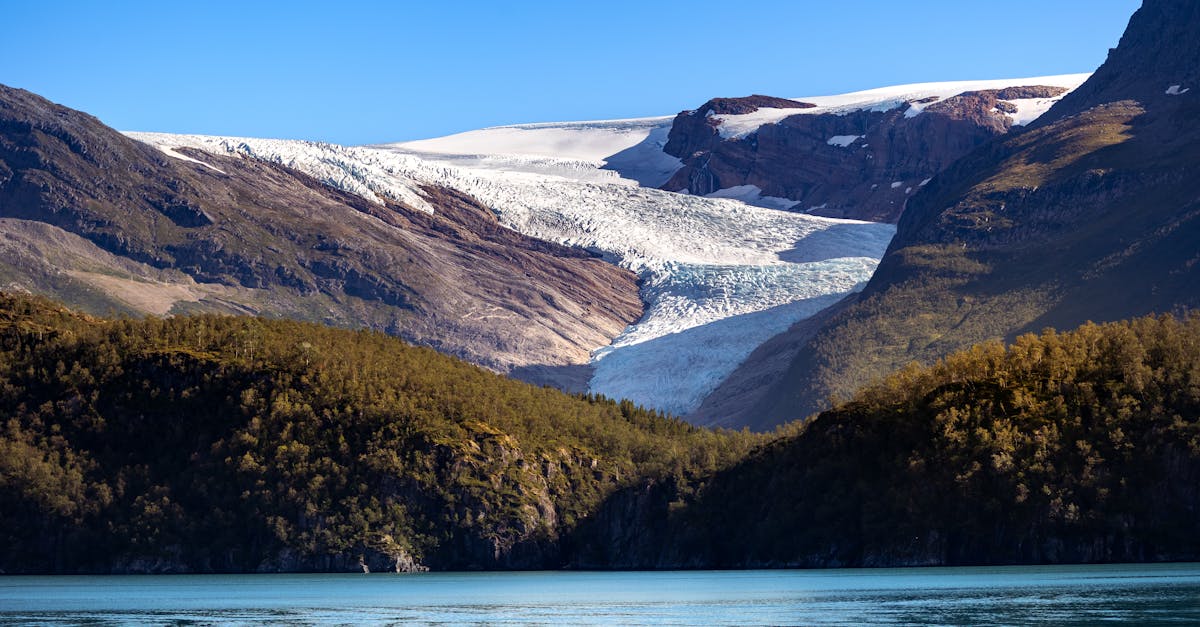 découvrez la beauté envoûtante des forêts de montagne, un écosystème riche qui abrite une biodiversité incroyable. explorez des sentiers reculés, respirez l'air frais et laissez-vous séduire par des panoramas à couper le souffle au cœur de ces paysages naturels préservés.