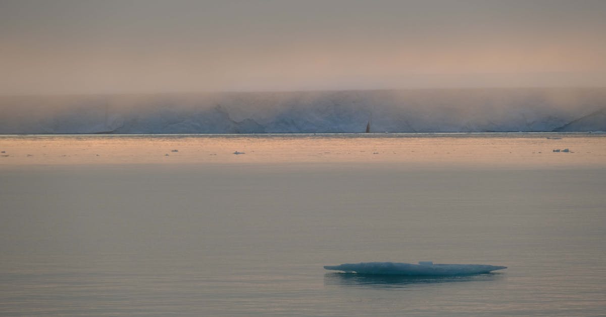 découvrez les enjeux critiques du réchauffement des océans, ses impacts sur la biodiversité marine, le climat et les communautés humaines, ainsi que les mesures nécessaires pour atténuer ce phénomène inquiétant.