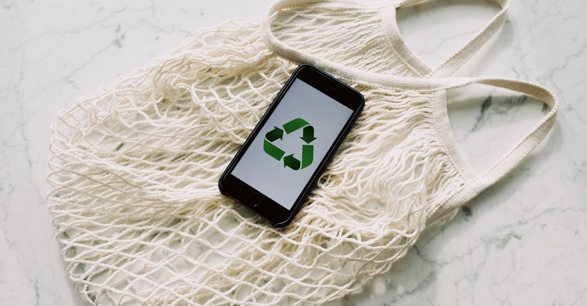 découvrez des astuces et des conseils pour adopter un mode de vie durable. apprenez à réduire votre empreinte écologique, à consommer de manière responsable et à intégrer des pratiques respectueuses de l'environnement dans votre quotidien.