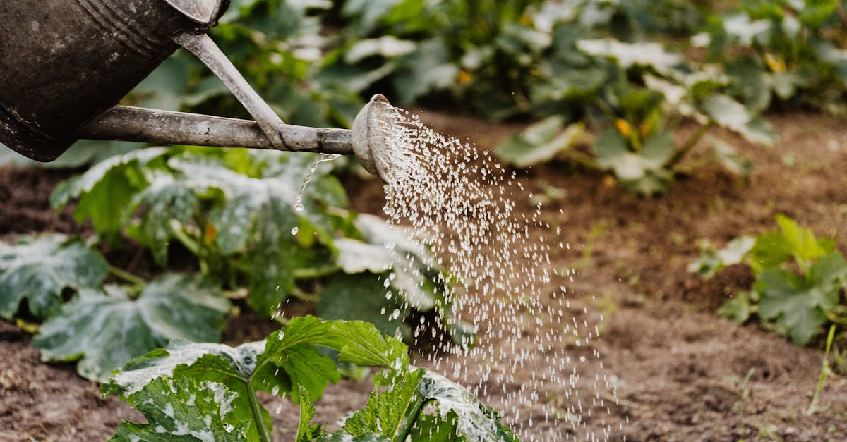 découvrez l'importance de la conservation de l'eau et des stratégies efficaces pour réduire la consommation d'eau au quotidien. apprenez des conseils pratiques pour préserver cette ressource précieuse et contribuer à la protection de l'environnement.