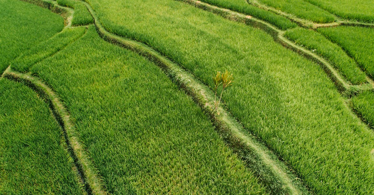 découvrez des stratégies innovantes de gestion de l'eau pour optimiser l'utilisation des ressources hydriques, maîtriser les enjeux environnementaux et garantir un approvisionnement durable pour les générations futures.