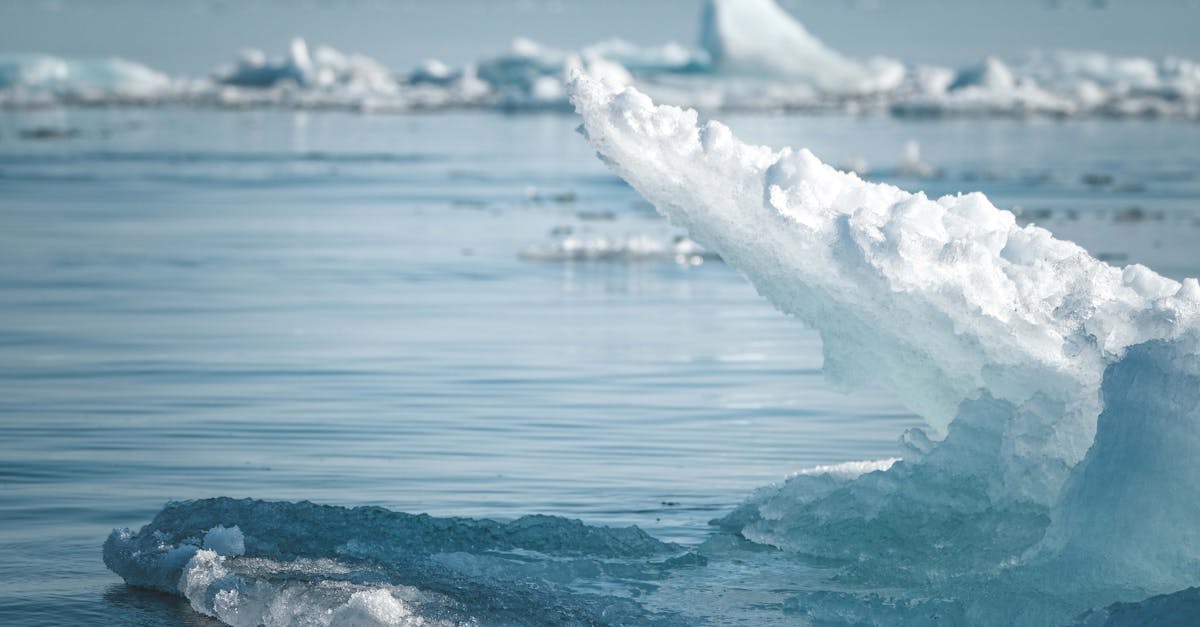 découvrez les enjeux liés à la montée du niveau de la mer, ses causes, ses conséquences sur l'environnement et les sociétés, ainsi que les solutions pour y faire face. informez-vous sur ce phénomène urgent et son impact sur notre planète.