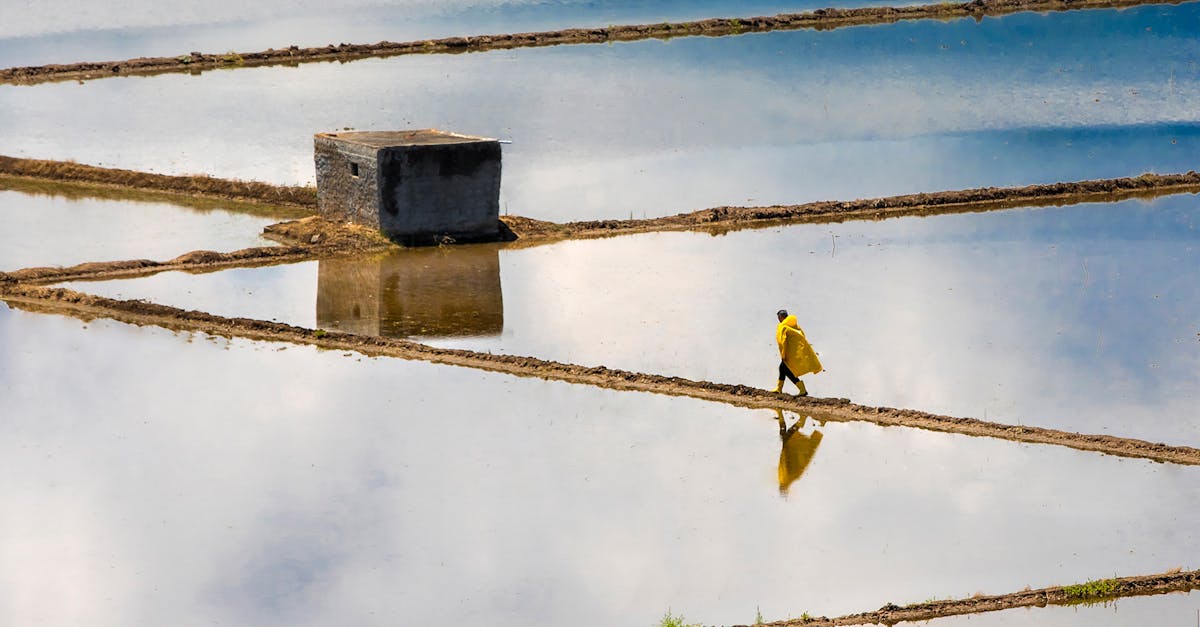 Les relations entre agriculture, climat et politiques publiques