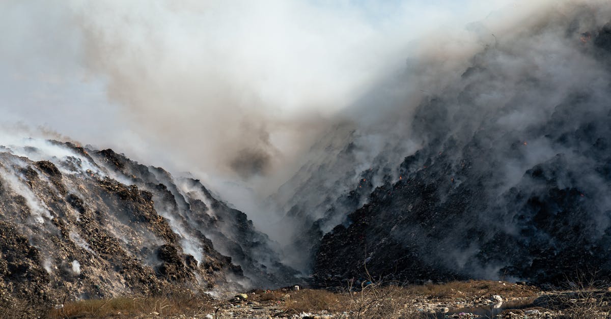 L’impact du climat sur la ruralité et les territoires