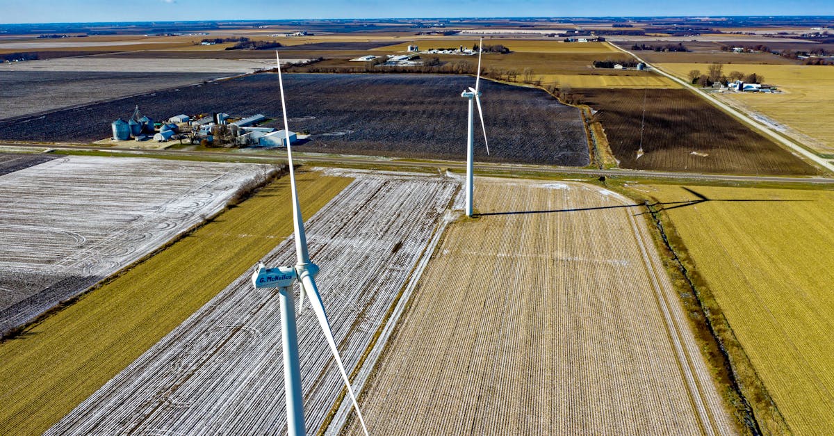 découvrez les dernières innovations agricoles qui révolutionnent le secteur, améliorant la durabilité, l'efficacité et la production. explorez les technologies et pratiques novatrices qui transforment l'agriculture moderne pour un avenir plus vert.