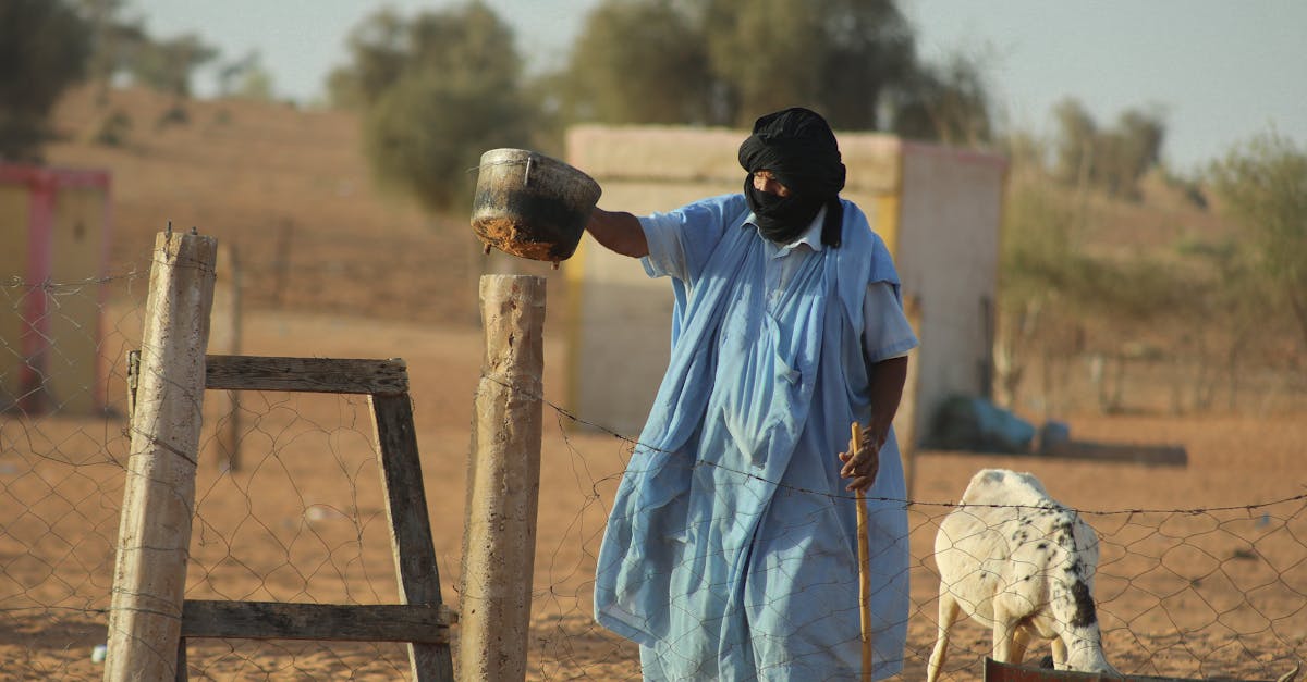 découvrez comment les politiques agricoles s'adaptent aux enjeux climatiques. explorez les stratégies durables visant à réduire l'impact de l'agriculture sur l'environnement tout en garantissant la sécurité alimentaire.