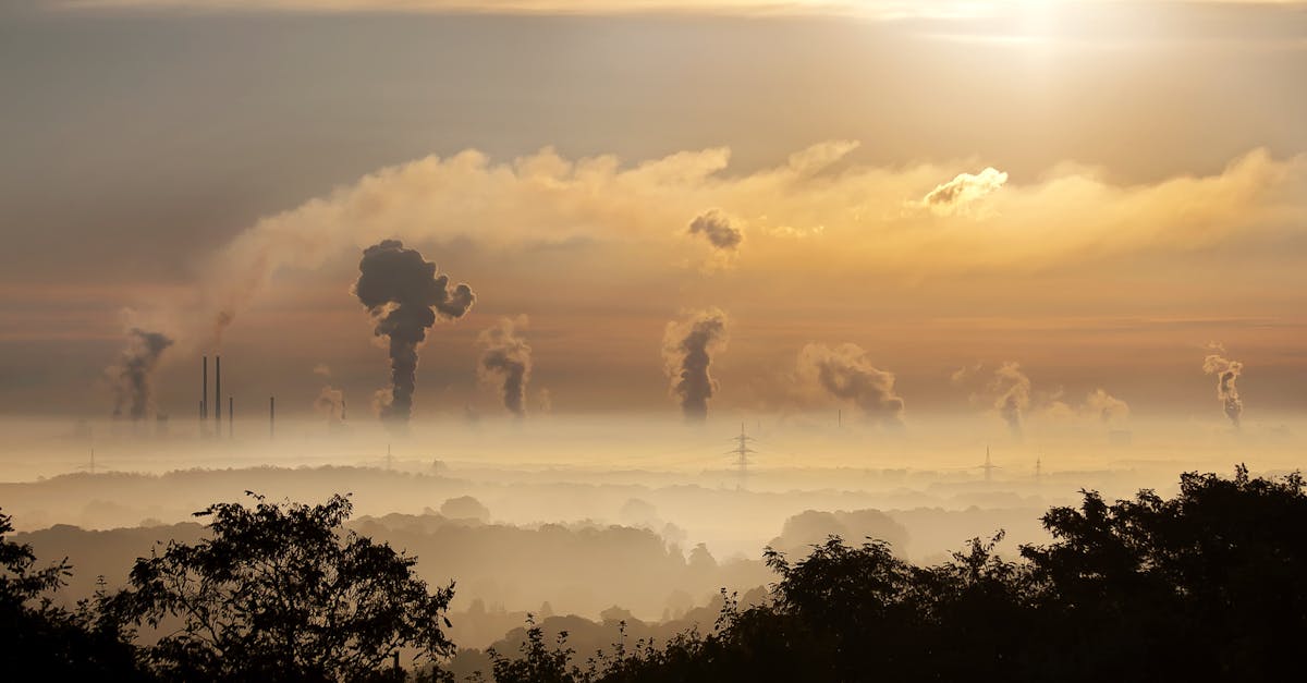 découvrez les causes et les conséquences de la pollution de l'air sur la santé et l'environnement. informez-vous sur les solutions pour réduire votre empreinte écologique et améliorer la qualité de l'air que nous respirons.