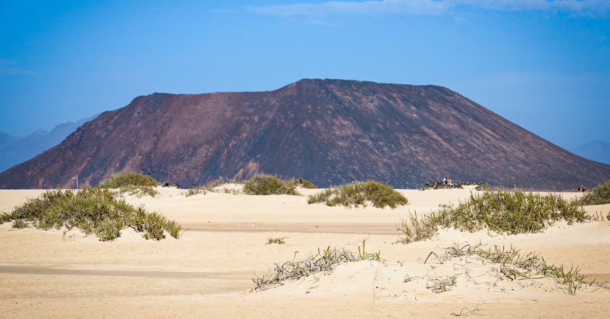 découvrez l'importance des accords climatiques dans la lutte contre le changement climatique. apprenez comment ces accords internationaux visent à réduire les émissions de gaz à effet de serre et à promouvoir des pratiques durables pour protéger notre planète pour les générations futures.