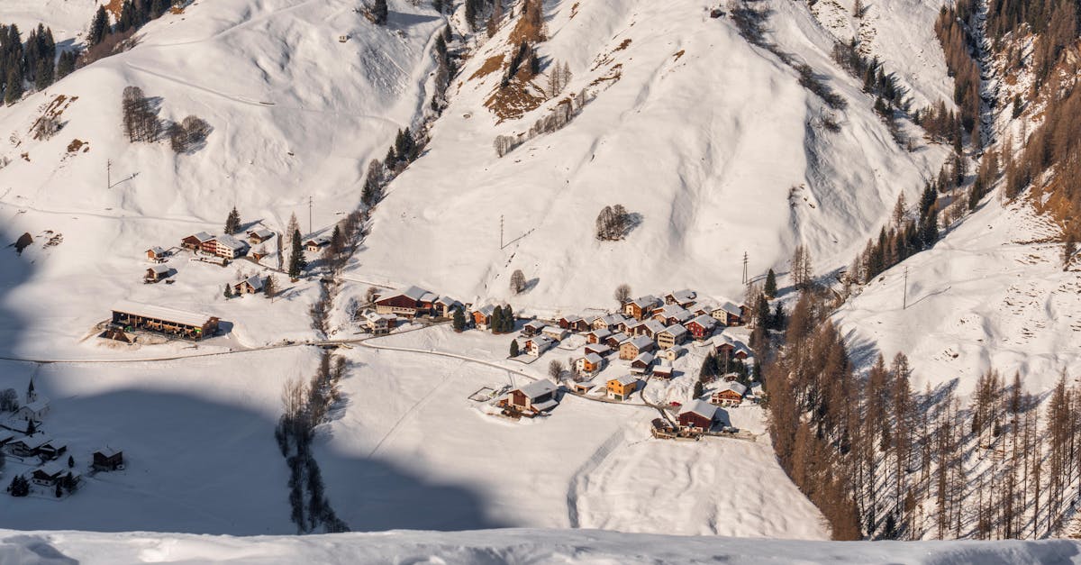 découvrez les politiques climatiques essentielles pour lutter contre le changement climatique. explorez les initiatives mondiales, les stratégies nationales et les actions locales qui visent à réduire les émissions de carbone et protéger notre planète pour les générations futures.