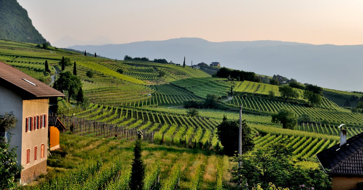 découvrez comment l'agriculture résiliente face aux changements climatiques peut transformer nos pratiques agricoles, en favorisant la durabilité, en préservant les ressources naturelles et en garantissant des récoltes fiables pour les générations futures.