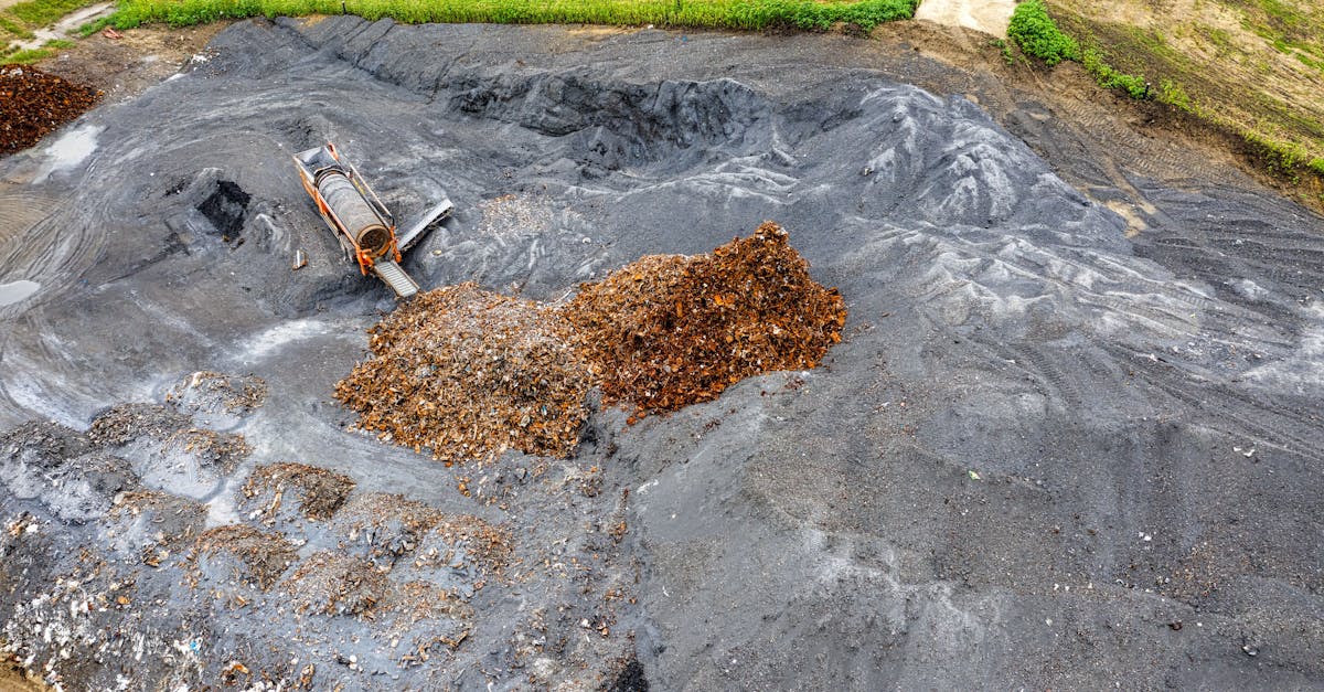 découvrez les avantages du compostage, une méthode écologique pour recycler vos déchets organiques et enrichir votre sol. apprenez comment débuter et les astuces pour réussir votre compost à la maison.