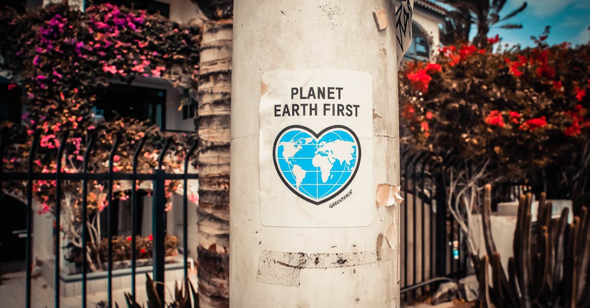 célébrez la journée de la terre en prenant conscience des enjeux environnementaux et en adoptant des gestes écoresponsables. rejoignez-nous pour protéger notre planète et promouvoir un avenir durable !