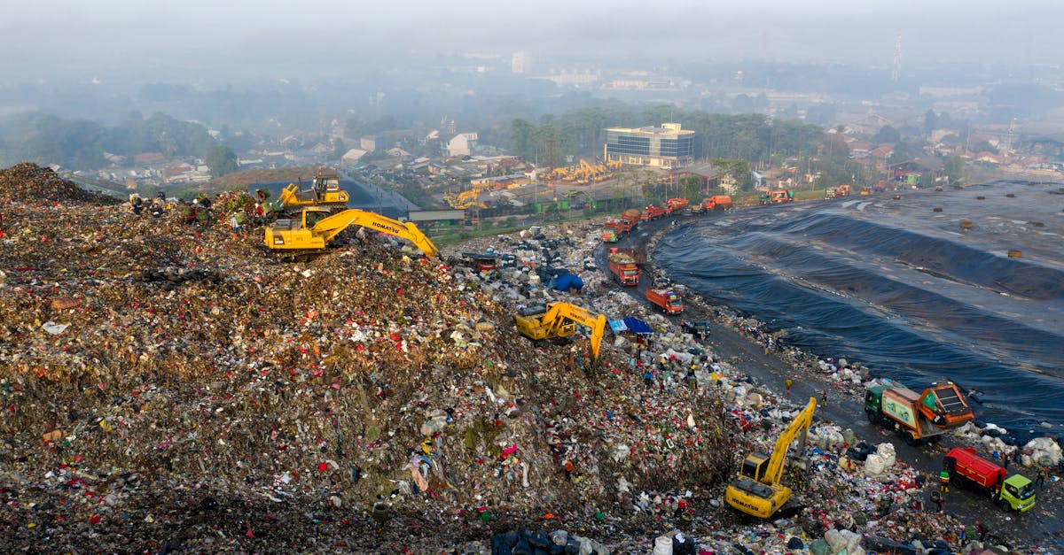 découvrez comment réduire votre empreinte écologique et contribuer à la protection de l'environnement. explorez des conseils pratiques et des stratégies pour un mode de vie durable et respectueux de la planète.