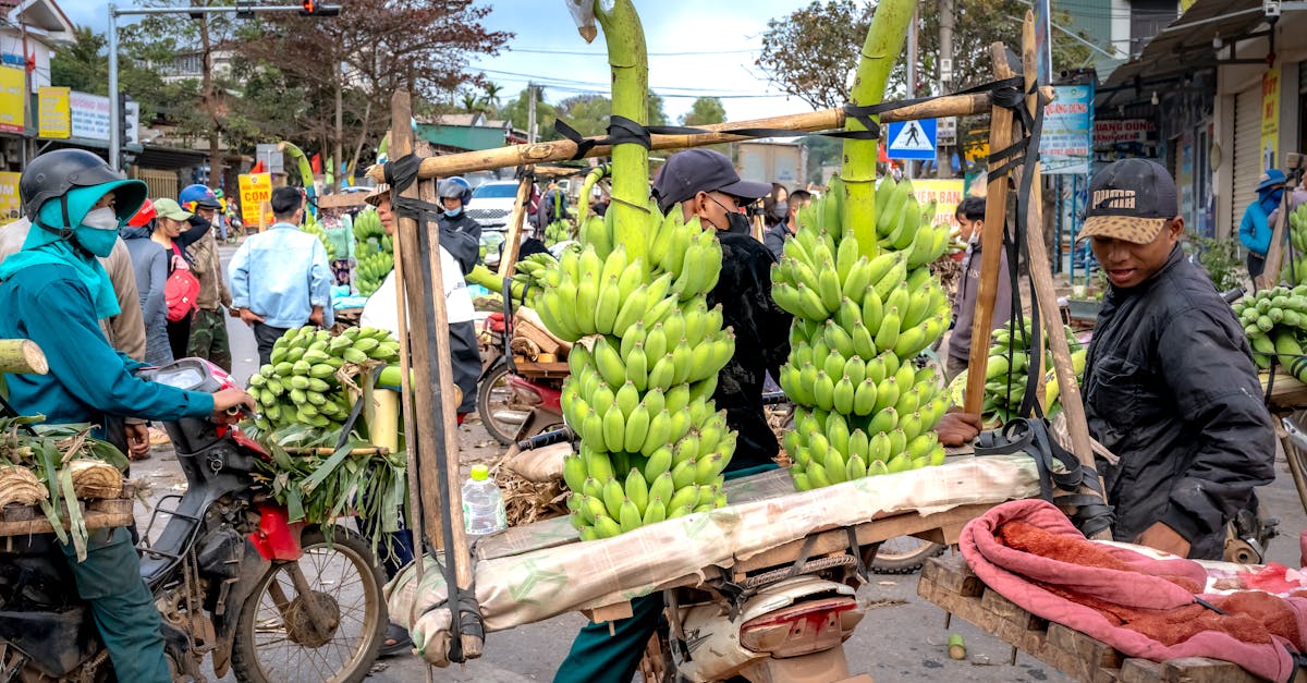 découvrez les différents modèles économiques qui façonnent notre compréhension des marchés et des décisions financières. explorez les théories, concepts et applications des modèles économiques pour mieux appréhender les dynamiques économiques contemporaines.