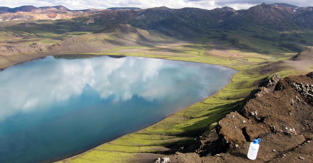 découvrez comment renforcer la résilience des écosystèmes face aux changements climatiques et aux perturbations humaines. apprenez les stratégies essentielles pour préserver la biodiversité et assurer un avenir durable pour notre planète.