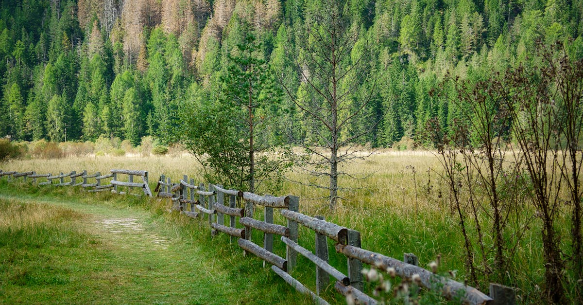 découvrez comment préserver notre environnement grâce à des actions durables et conscientes. apprenez des stratégies efficaces pour protéger la nature, réduire votre empreinte écologique et contribuer à un avenir plus vert.