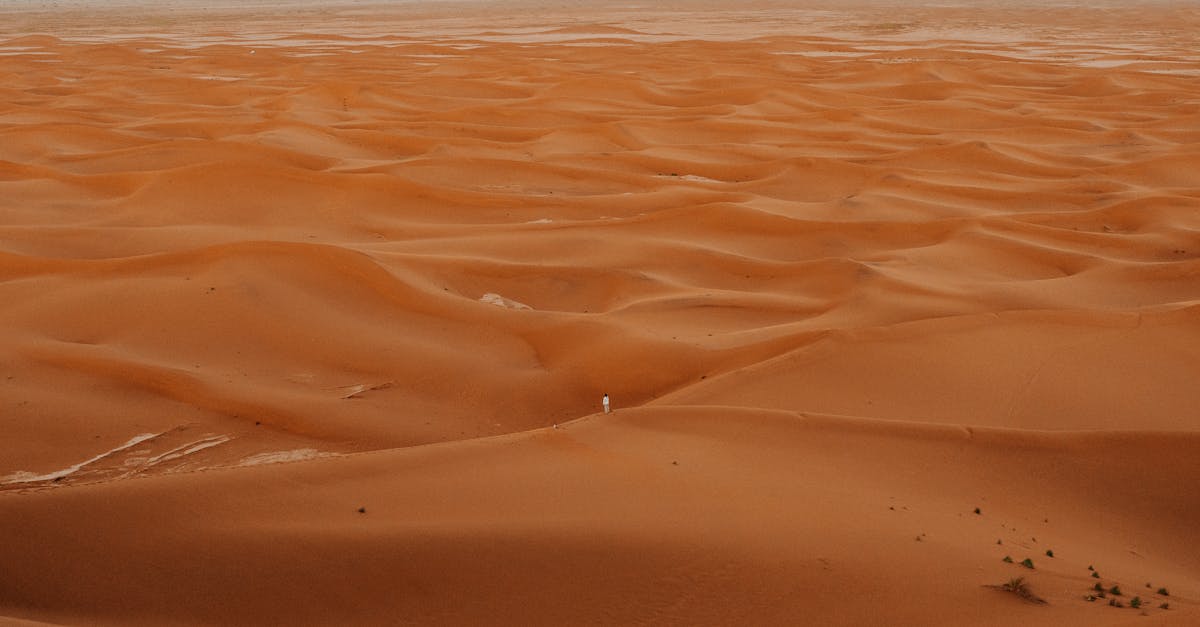 découvrez les initiatives climatiques de l'ue, des mesures innovantes et des politiques visant à lutter contre le changement climatique et promouvoir un avenir durable en europe.