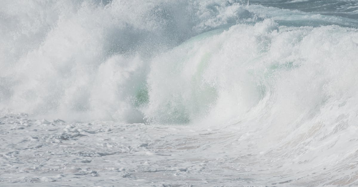 découvrez l'impact dévastateur des inondations sur l'environnement et les communautés. apprenez comment ces événements extrêmes se produisent, leurs causes, et les mesures de prévention à mettre en place pour protéger nos terres et nos vies.