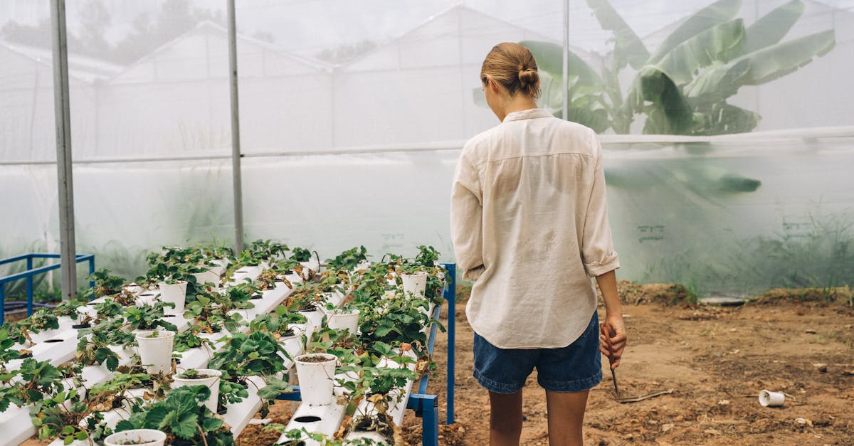 découvrez des systèmes agricoles innovants qui redéfinissent les pratiques de culture, améliorent la durabilité et augmentent les rendements. explorez des solutions technologiques et écoresponsables pour un avenir agricole prospère.