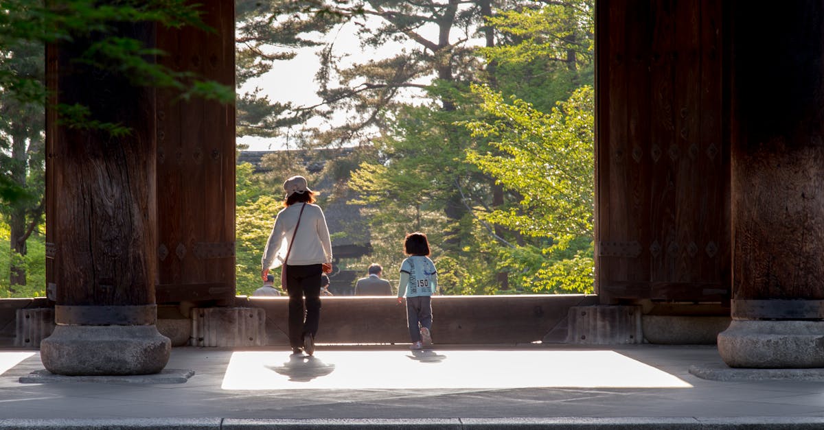 découvrez le protocole de kyoto, un accord international visant à lutter contre le changement climatique en réduisant les émissions de gaz à effet de serre. apprenez-en plus sur ses objectifs, ses enjeux et son impact sur la planète.