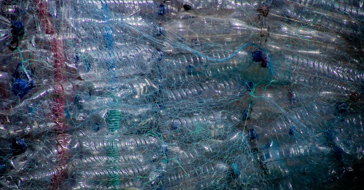 découvrez des conseils pratiques pour réduire votre consommation de plastique au quotidien. adoptez des alternatives durables et faites un geste pour la planète en limitant votre empreinte écologique.