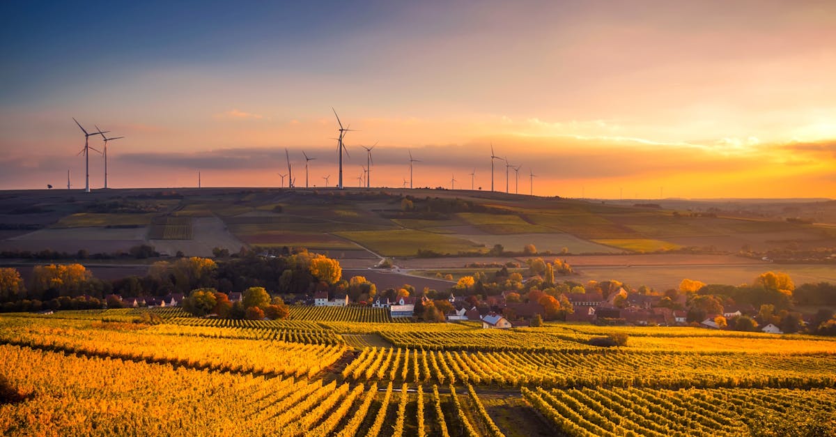 découvrez l'importance de la durabilité dans notre société moderne. apprenez comment adopter des pratiques respectueuses de l'environnement, réduire votre empreinte carbone et promouvoir un avenir plus responsable pour les générations futures.