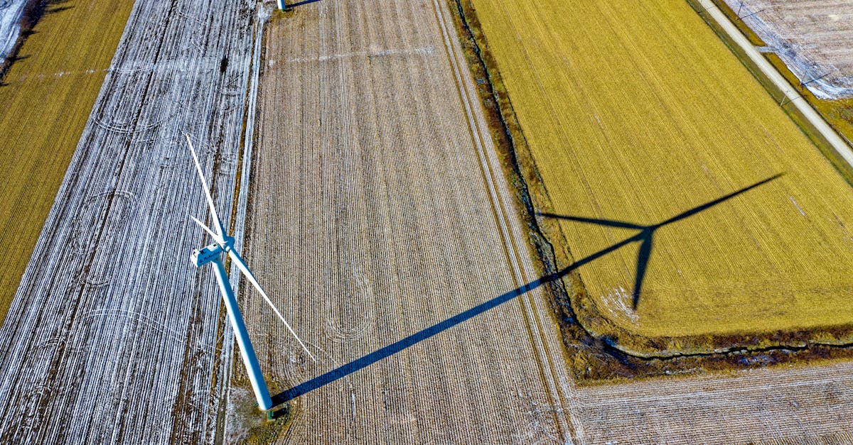 découvrez l'univers du développement durable avec nos conseils et astuces pour vivre de manière écoresponsable. adoptez des pratiques durables qui respectent notre planète tout en améliorant votre qualité de vie.