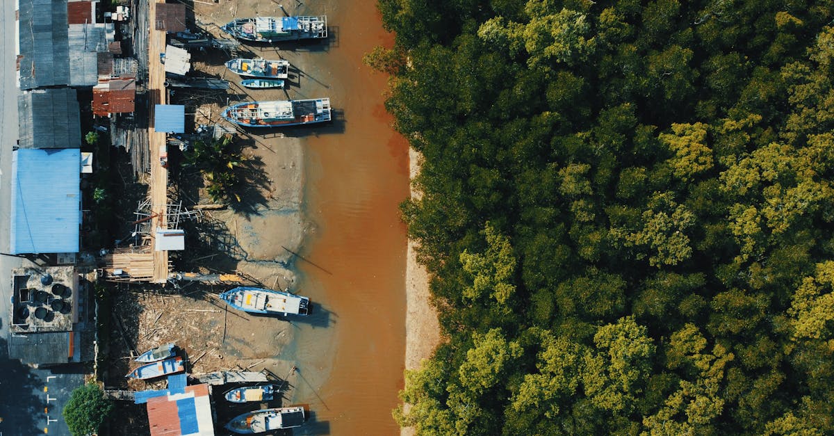 découvrez les bâtiments durables qui allient innovation, respect de l'environnement et confort. apprenez comment ces structures éco-responsables contribuent à une meilleure qualité de vie tout en diminuant l'empreinte carbone.